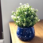 Keramični lonec Deco 02.700.15